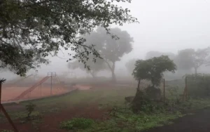 शिक्षक प्रशिक्षण स्थगित